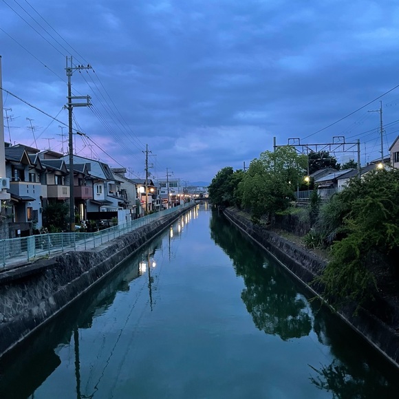 Meet your Posher, Jela - Picture 1 of 1